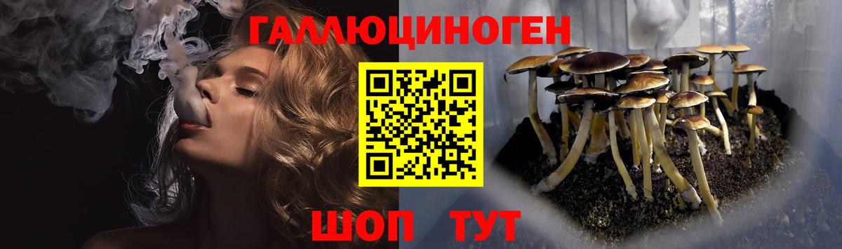 Псилоцибиновые грибы Psilocybine cubensis Мыски